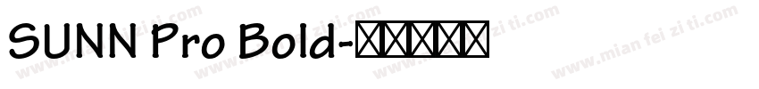 SUNN Pro Bold字体转换